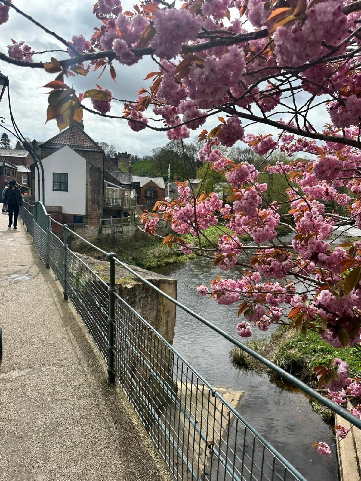 Town Center Cottage With Hot Tub 莫珀斯 外观 照片